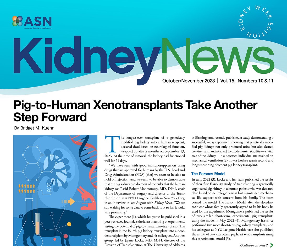 The October/November issue of Kidney News is now available online. This special double issue highlights what to expect during Kidney Week 2023, covering sessions, awards, and expositions. Read the entire issue at bit.ly/3rGd84i #Kidneywk