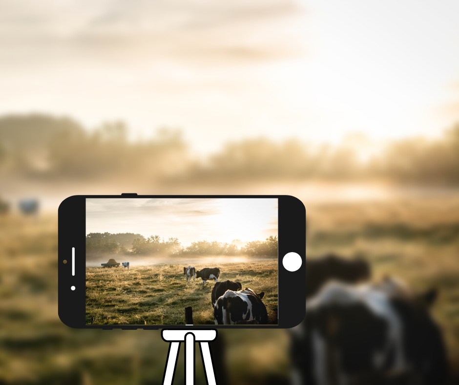 [CONCOURS VIDEO] #TE2023
🎬 Nous organisons un concours vidéo à destination des élèves en formation agricole. Au travers d’une vidéo de 2 mins, expliquez votre métier, ce qui vous rend fière et votre vision de l’éleveur de demain ! Pour en savoir plus 👉 bit.ly/3SOkHhD