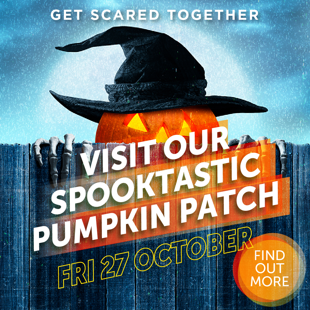 MillGateBury's tweet image. 🎃 Get ready for a spooktastic Halloween this October Half term 🎃 Join us for a pumpkin-filled extravaganza from Oct 23. More details here: millgatebury.co.uk/news-and-event…

! 📸👻 #MillGateHalloween #PumpkinPatchFun