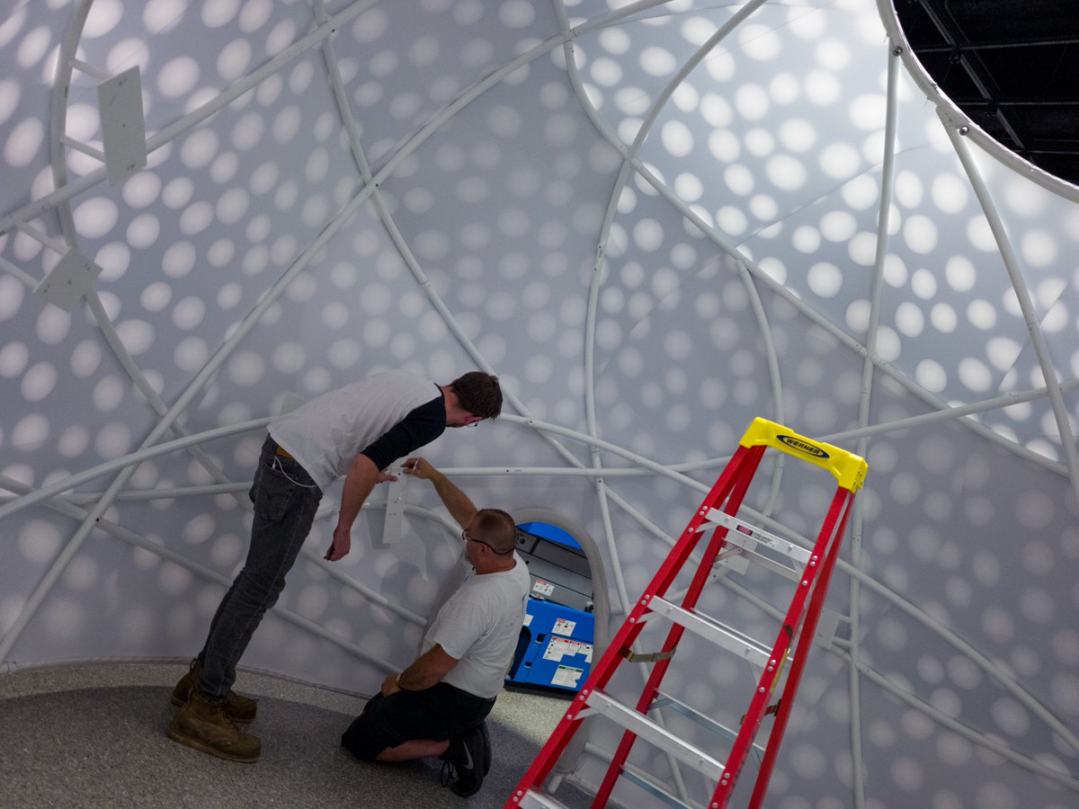 University of Michigan Museum of Natural History tweet media