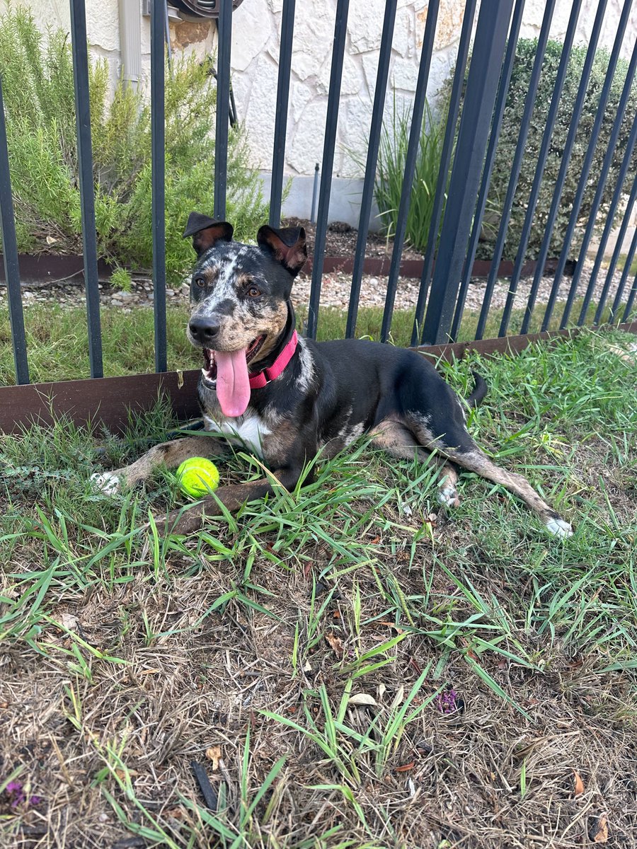 Kickstand Communications tweet media