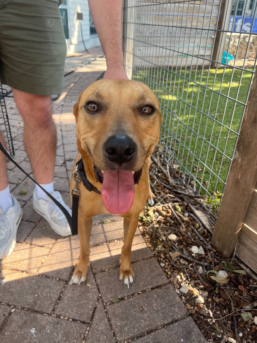 Kickstand Communications tweet media