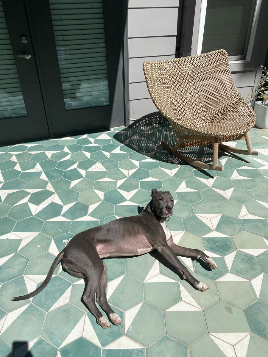 Kickstand Communications tweet media