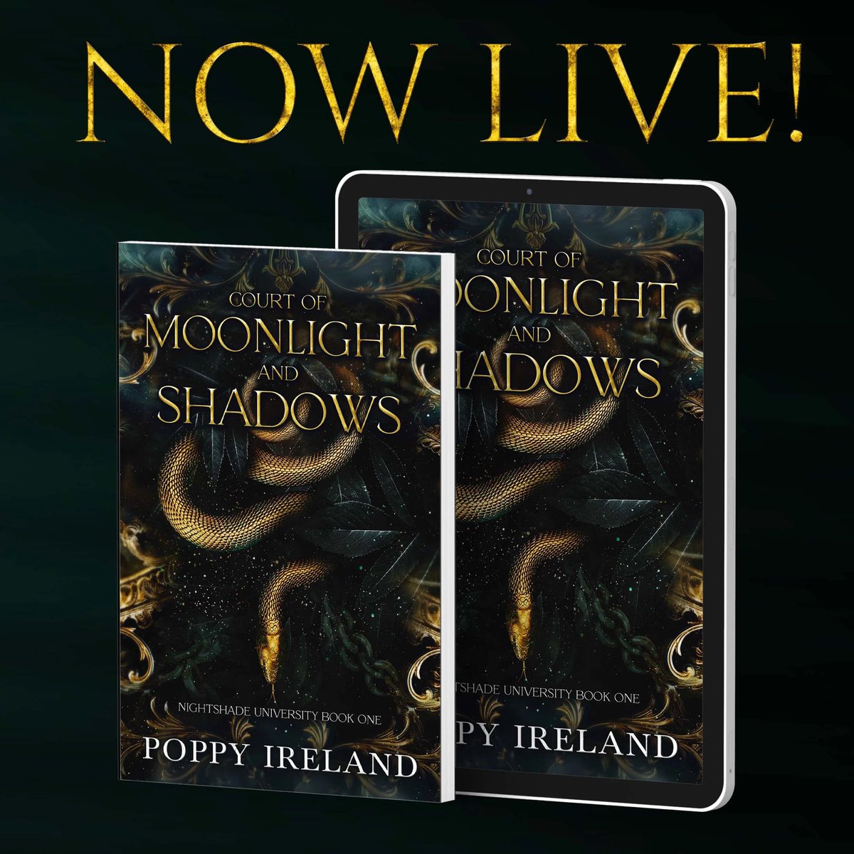 Court of Moonlight and Shadows by Poppy Ireland is #NowLive!
#OneClick your copy today: geni.us/COMASevents
For those enticed by forbidden desires and secrets that demand a price...
#EnemiestoLovers #FantasyRomance #ForbiddenRomance #FaeCourts