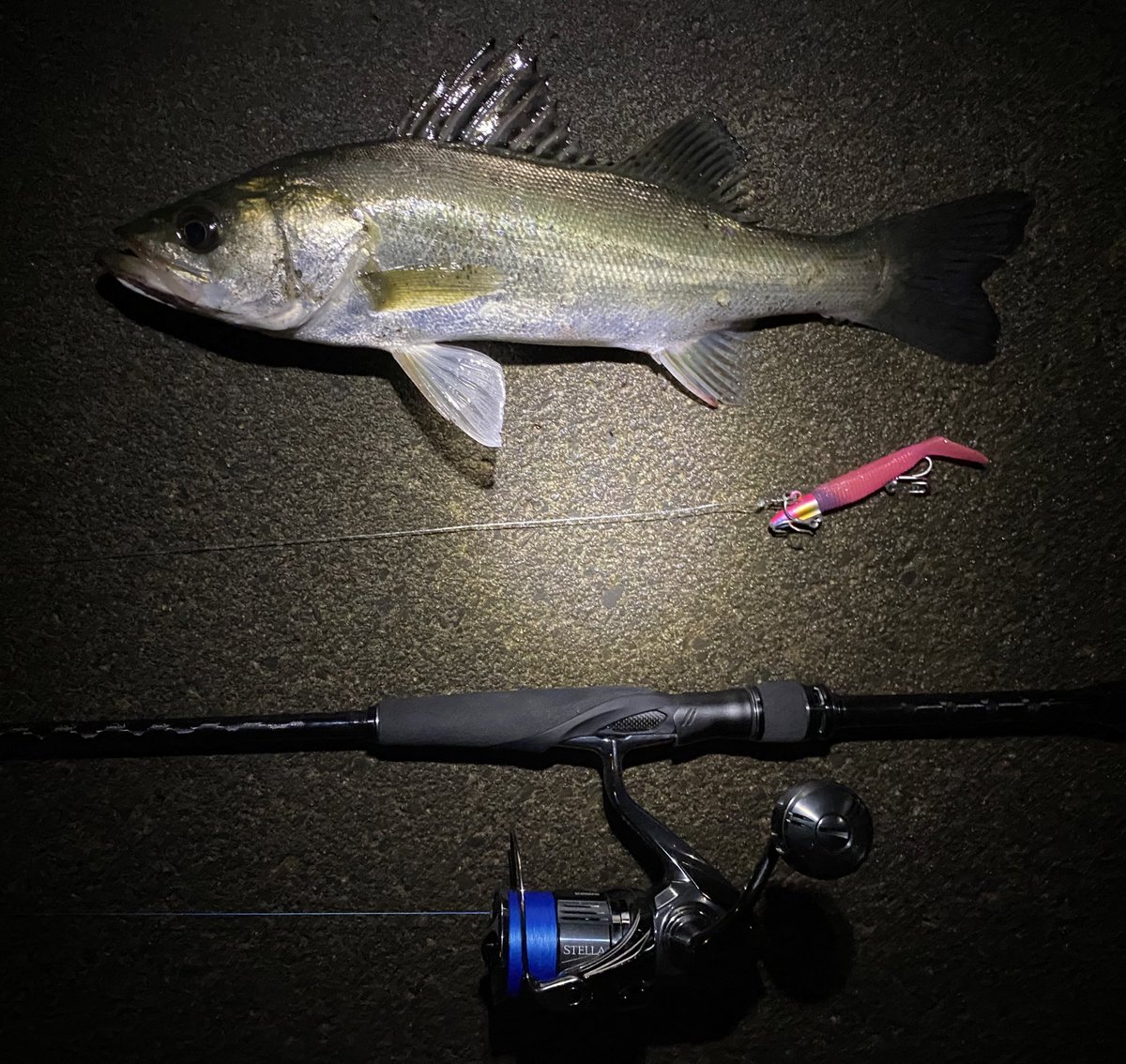 seabass_hirame's tweet photo. シーバス
#EXSENCEZOOM
#エクスセンスズーム
#96ー86M
#22ステラ3000MHG
#22STELLA3000MHG
#ストライクヘッド
#SM75 https://t.co/KnVDXJ0tXC