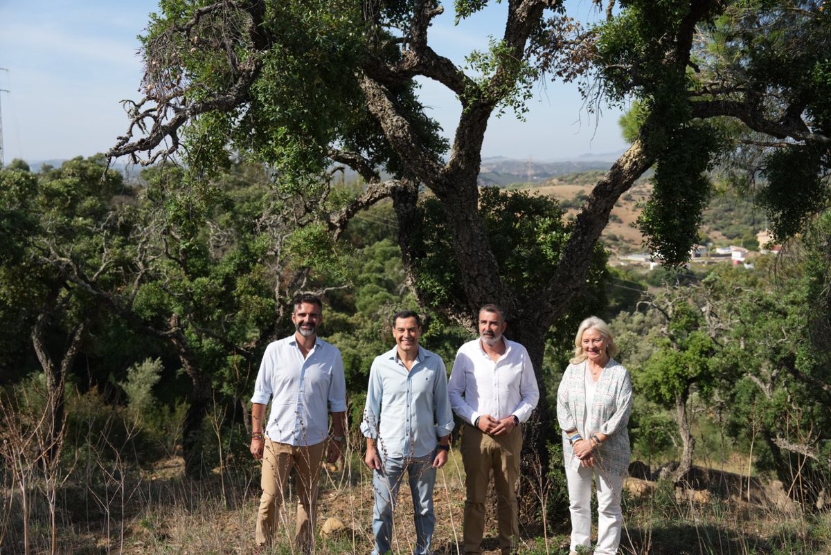 Juanma Moreno tweet media