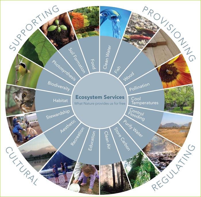 NatureBasedSolutions tweet media
