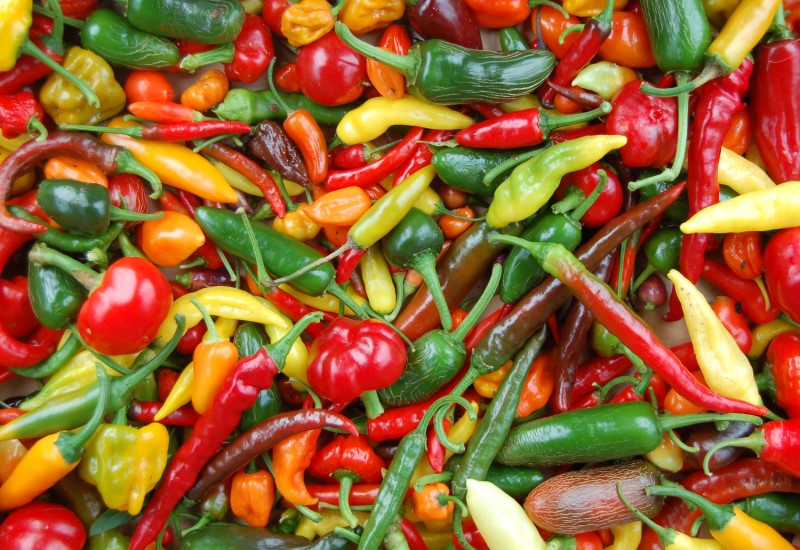 artisanFT's tweet image. Did you know that chillies aren't just hot, they're packed with flavour too? Taste the difference with Edible Ornamentals – @edibleornamenta’s premium chilli varieties.
#FlavourFirst
artisanfoodtrail.co.uk/edible-ornamen…
