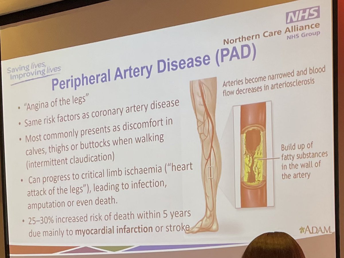 Angie Tithecott tweet media