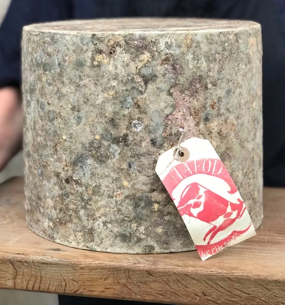 artisanFT's tweet image. Experience the magic of @HafodCheese, where tradition meets taste. Crafted from raw milk of Ayrshire cows, it's the perfect blend of butterfat and protein.
#CheeseCraftsmanship
artisanfoodtrail.co.uk/hafod-welsh-or…