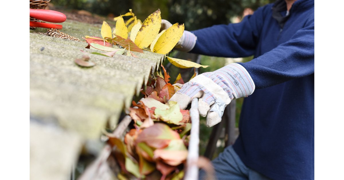 Gutter Maintenance or Repair? dlvr.it/Sx24JK