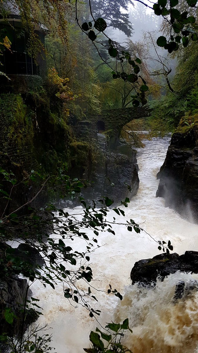 Another day at the Hermitage - don't you just love autumn? Have a wonderful Thursday, friends 
#ScotlandisNow #StormHour #photography #photooftheday #landscape #OutAndAboutScotland #landscapephotography 
<a href="/VisitScotland/">VisitScotland</a> <a href="/ScotsMagazine/">ScotsMagazine</a> #friends #ThePhotoHour #stvsnaps #beautiful