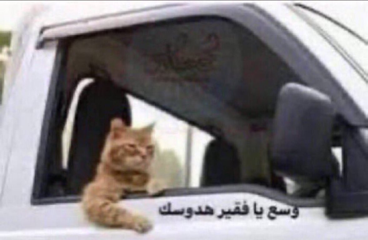 Mahmoud_Marhoon's tweet photo. #KFUPM دائمًا الاولى 👑 https://t.co/Qvl5Zl7xx0