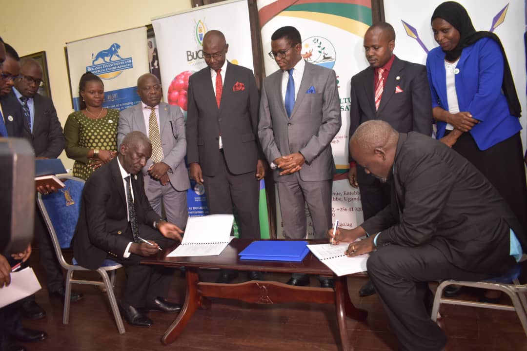 Was honoured to witness this historical moment together with the Katikiro of Buganda <a href="/cpmayiga/">Charles Peter Mayiga</a> with other @BugandaOfficial and <a href="/narouganda/">NARO Uganda</a> dignitaries. @MukonoZardi looks forward to strengthening the partnership with <a href="/BucadefUg/">Buganda Cultural & Development Foundation(BUCADEF)</a>.