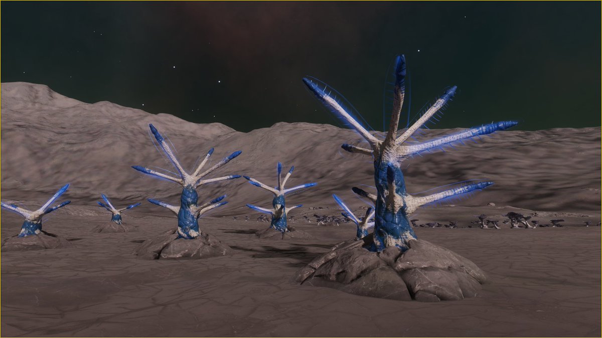 2020HeinSite's tweet photo. Find an Icy body with three (3) bio signals in an Argon atmosphere and you'll likely find these in a variety of colors.
#EliteDangerous #Exploration #Exobiology #ElectricaeRadialem https://t.co/B19Ac1q76B