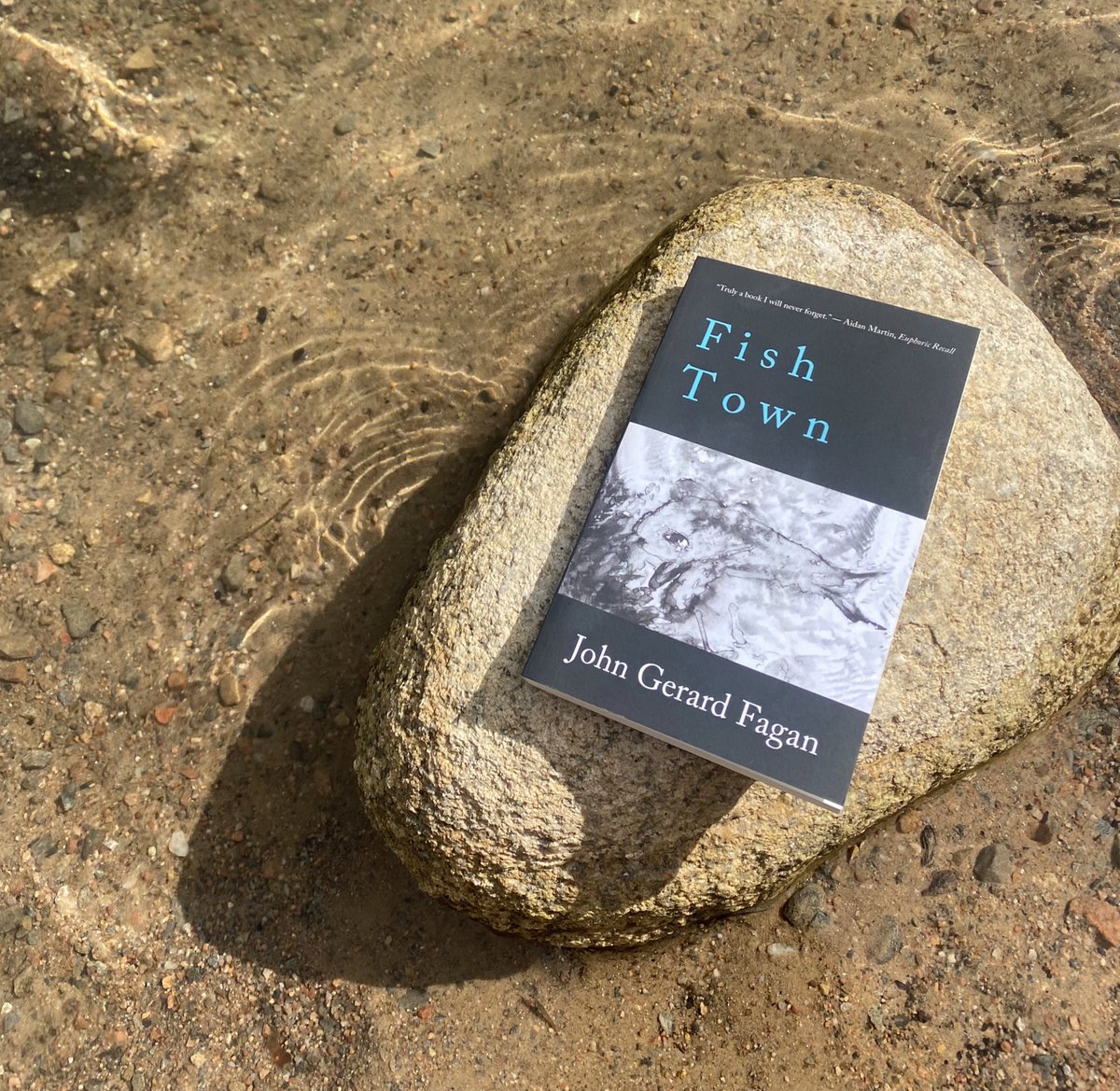 John Gerard Fagan tweet media