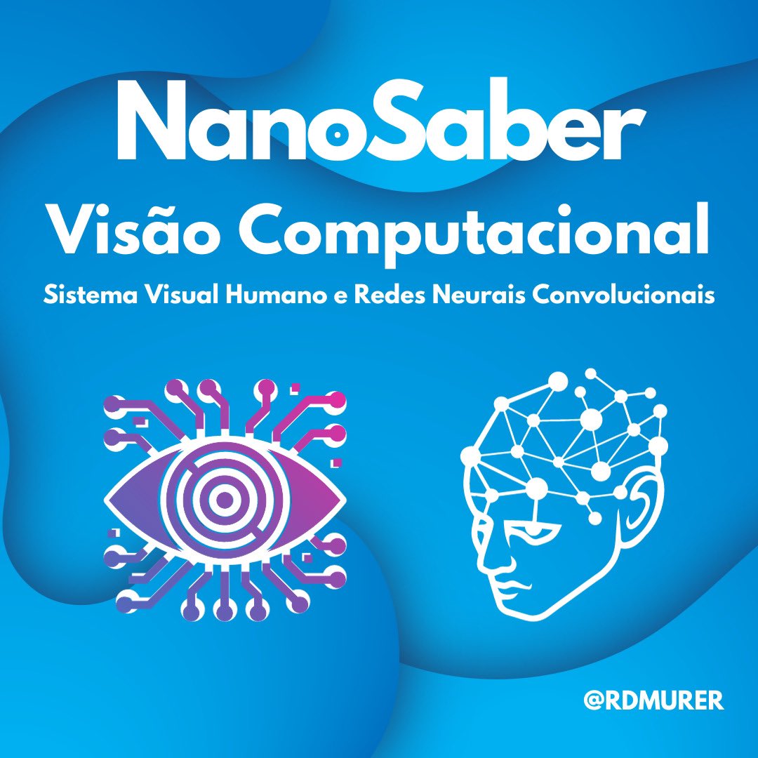 Ricardo Murer tweet media