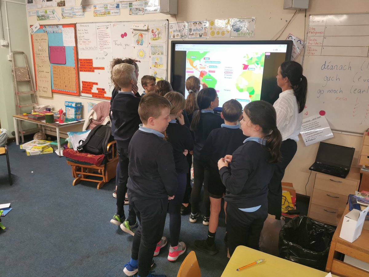 Mayglass National School tweet media