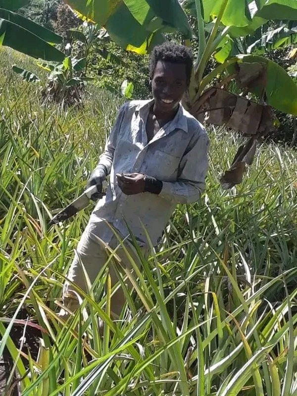 Makay_Hayti's tweet photo. 🇭🇹😍🍍🍍
Yon pwodiktè anana nan Lenbe.
Misye se Siprin Phanold, si w ap achte oubyen sipòte travay li a , pran kontak ak li nan nimewo sa yo: 36974851/ 35413827
Sous : @DerismaSmith https://t.co/GbkuFBFA94