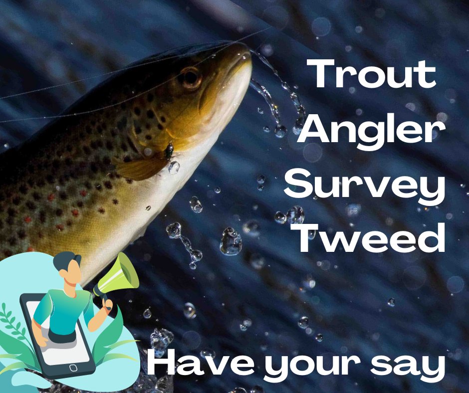 Your fishing experiences are invaluable to us, and we'd love to hear from each one of you. If you haven't already, don't forget to fill in our Tweed Trout Experience Survey.  arcg.is/1n08vO0 

#fishing #troutfishing #rivertweed #troutfish  #rivertweednews #flyfisher