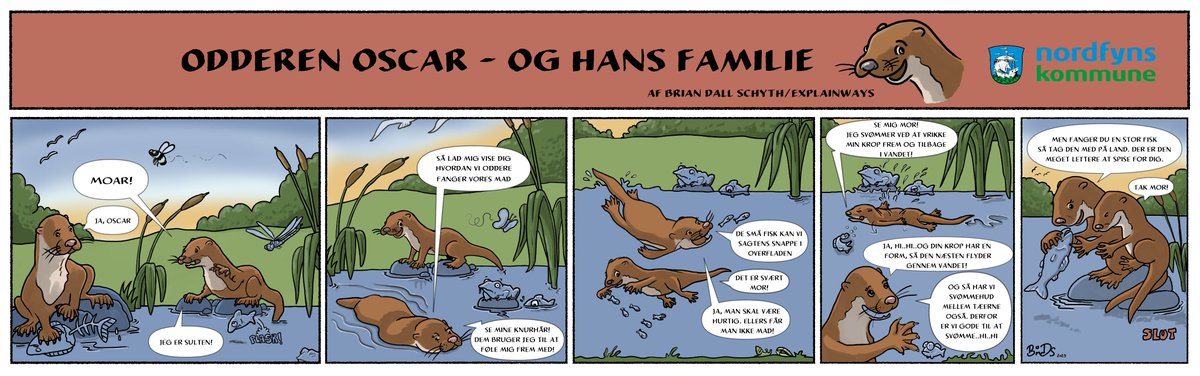 #biologi #formidling #EDUTAINMENT #tegneserie om #odderen og dens levevis for #nordfyns #Kommune til ophængning som en del af plancherne i #Naturpark #Nordfyn. Her stribe nr. 1. #Målgruppe: forældre med #børn ca. 3-5år på skulderen.

#naturvidenskab #natur #biodiversitet