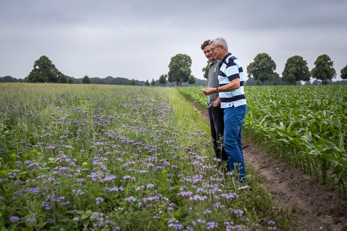‘Boer&amp;Buur met natuur’ zoekt Gelderse boeren en buren met een visie voor samenwerking mbt natuurinclusieve landbouw en korte keten. Heb je een plan en kun je hier ondersteuning in gebruiken? 
👉Aanmelden kan tot 15 november via boerenbuurmetnatuur.nl