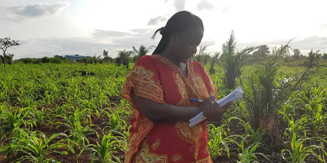 ElsevierConnect's tweet photo. This researcher is developing eco-friendly insect control methods to protect crops โ and sharing her work with farmers in Benin and beyond. ๐ https://t.co/tZmwMJRDNu
#EcoFriendlyFarming #CropProtectionSolutions #OpenAccess https://t.co/YJgz0Dn6CP