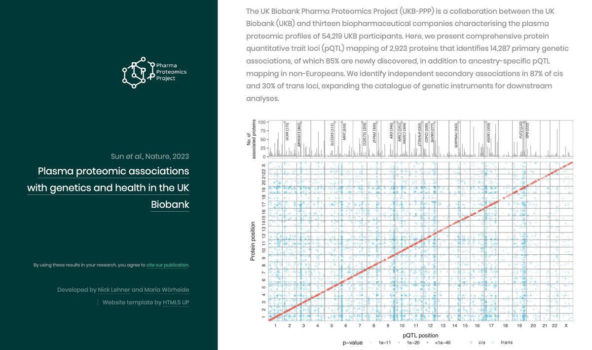 chrisdwhelan's tweet image. Reminder - all results from the UKB-PPP protein GWAS can be browsed and downloaded at:
ukb-ppp.gwas.eu
Full credit to Nick Lehner, @mwoerhe, @KastenmullerLab, @_MatthiasArnold & @ksuhre for building a beautiful interface.