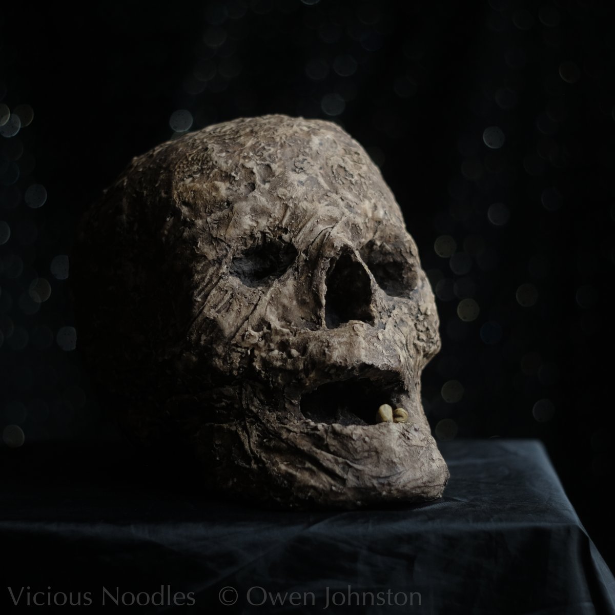 Replica #mummified head, life size, international shipping from UK.  Etsy shop link in bio. #halloween #halloween2023 #skull #HumanSkull #HumanSkullReplica #ReplicaSkull #horror #zombie #undead #AncientEgypt #AncientCivilisations #DarkAcademia #archaeology #crâne #horreur