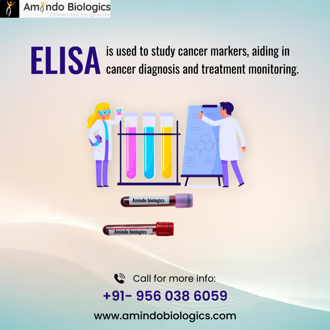 Revolutionize Cancer Care with ELISA: Your Key to Precise Diagnosis and Treatment Monitoring
amindobiologics.com
#CancerDiagnosis #ELISA #CancerTreatment #CancerMarkers #MedicalResearch #HealthcareTechnology #CancerAwareness #PrecisionMedicine #EarlyDetection #AmindoBiologics