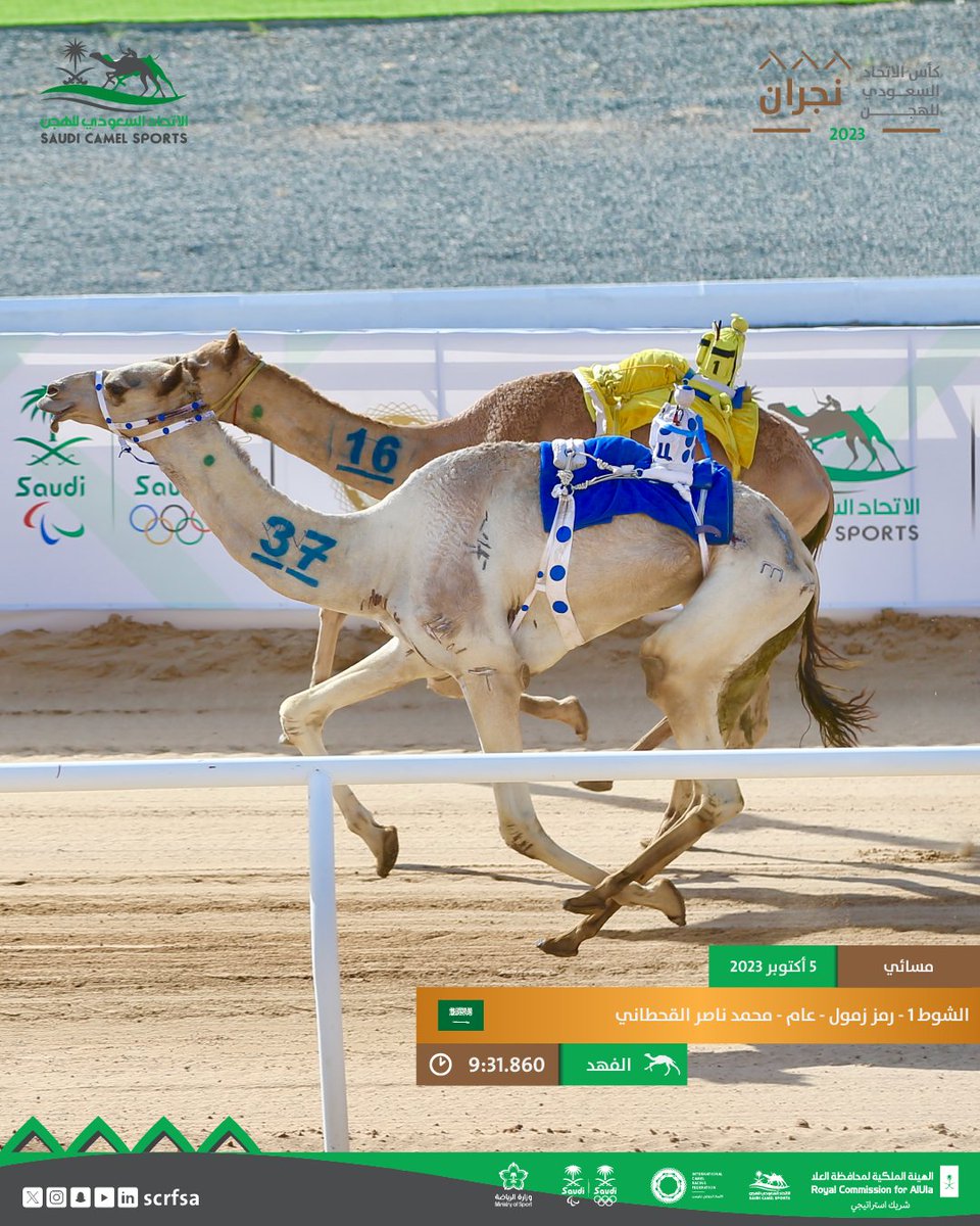 scrfSA's tweet photo. 🐪🏆
الشوط الأول🥇 

(الفهد) لمالكه محمد ناصر شافي القحطاني يحقق المركز الأول رمز زمول - عام ⏱9:31.860 ضمن الأشواط المسائية.

https://t.co/6FANw1cPJu

#كأس_الاتحاد_السعودي_للهجن
#نجران https://t.co/hUHD29YvWU