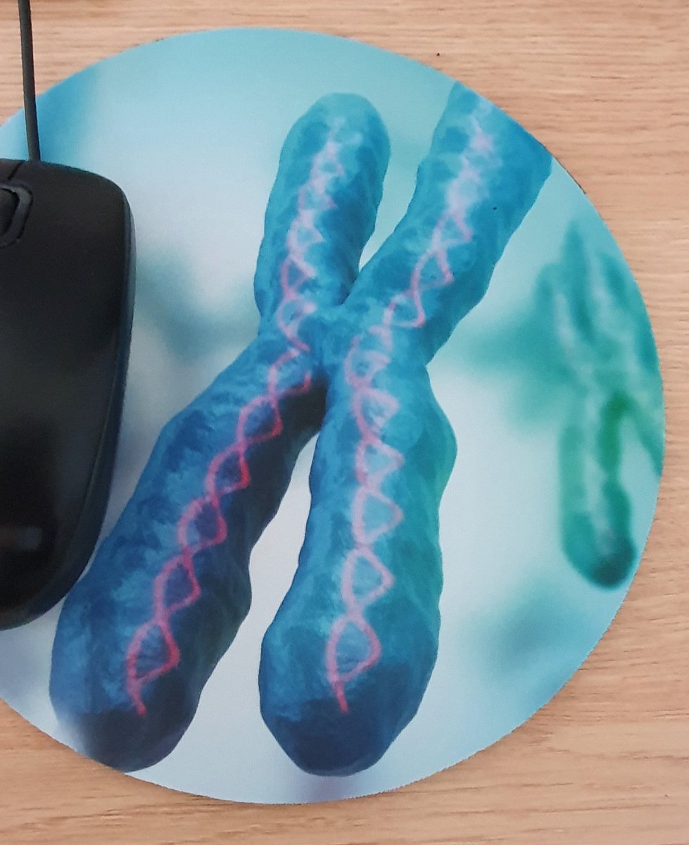 Little treat to myself on #WorldTeachersDay #ChatBiology #Biology #DNA