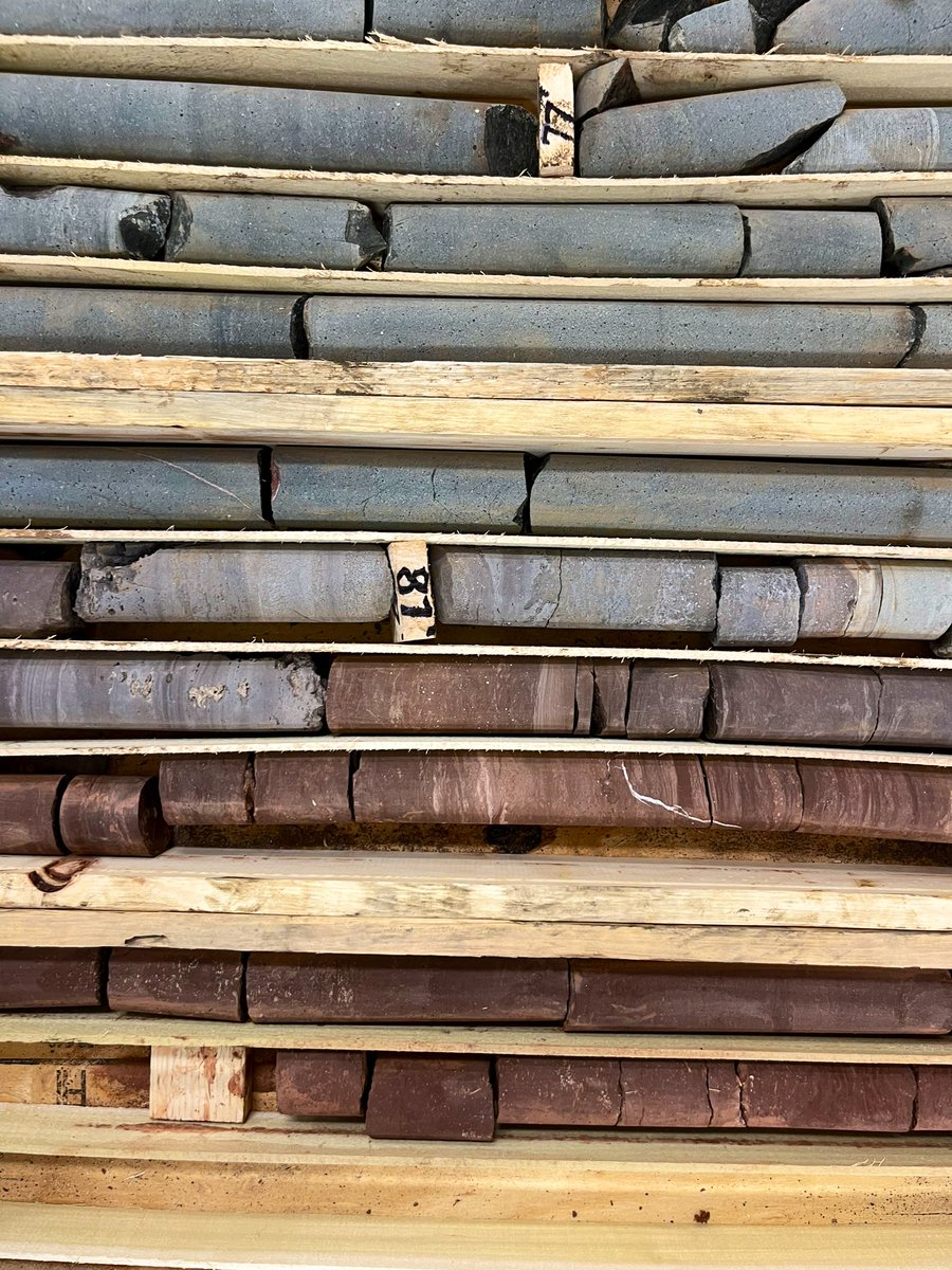 Something magic but also strange about drill core. There is Earth history, with all the usually reclusive bits (contacts rarely seen in the wild, recessive units) exposed out in the open, in zigzag lines… here is the contact between Passaic seds and CAMP Orange Mtn Basalt