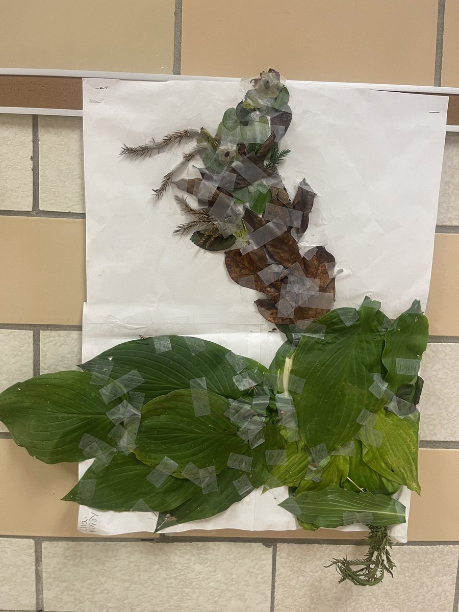 Best thing about my job so far today? Magical Mystery Nature Art Surprise Gift left for me in my art room. Artist Unknown 😉.