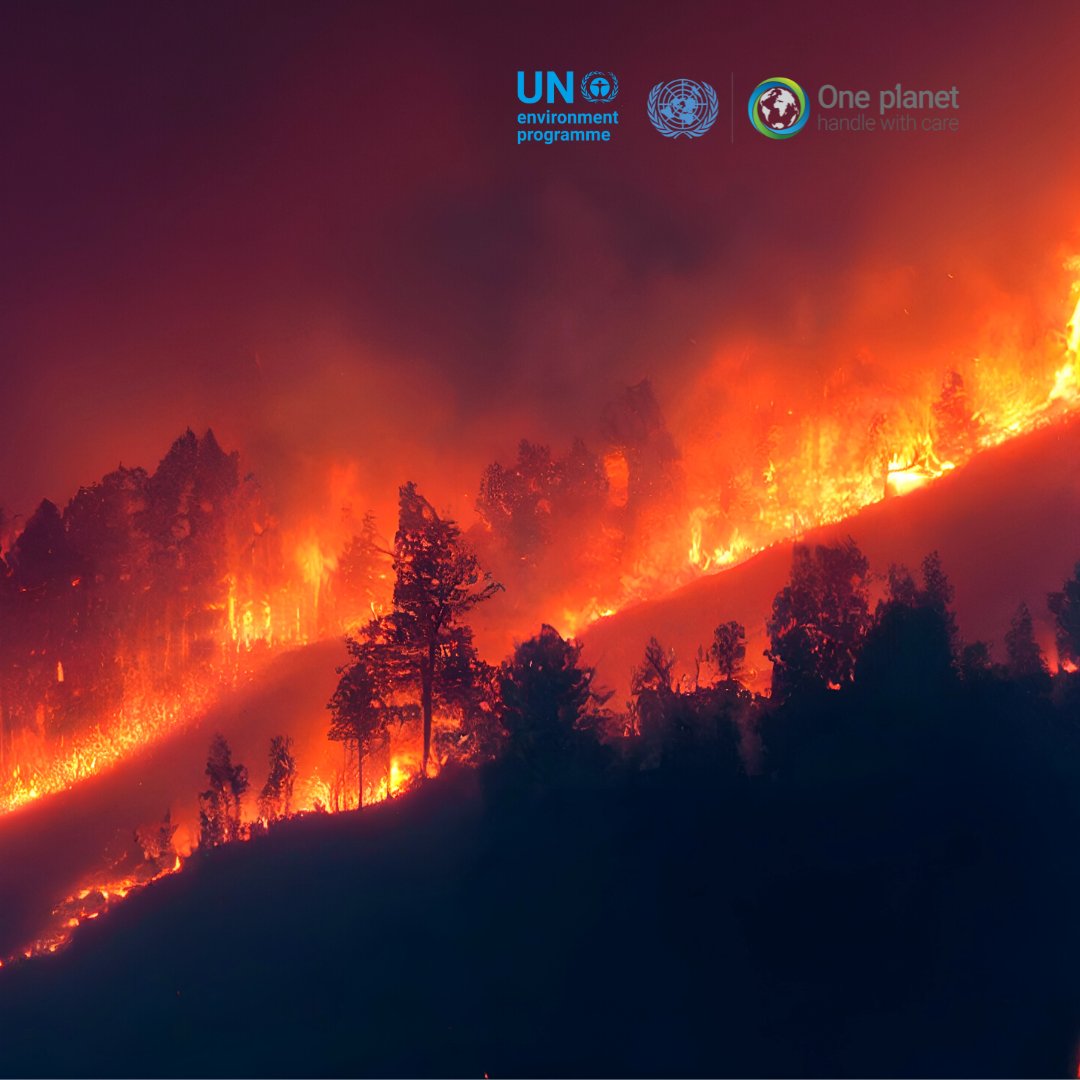One Planet Network tweet media