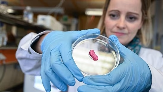 hindustantimes.com/lifestyle/heal… #cellscience #celltherapy 
visit : longdom.org/cell-science-t…