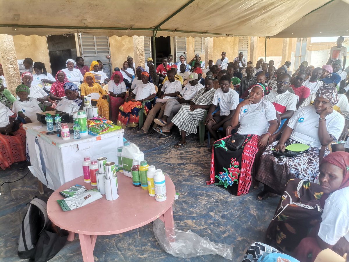 masagrisn's tweet photo. Préparation campagne 2023- 2024
 Solevo et Mas Agri rencontrent lz coopérative des producteurs de Mboudome Barrage ( Ross Bethio- Saint louis)
#sunumbay #jëfguiss #agriculture #solevo https://t.co/ubg6ocYQuW