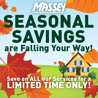Massey Services is offering great discounts on all our services this October for a limited time! Click on the link and start saving! ow.ly/EX3l50PTnmE #MasseyServices #discounts #limitedtimeoffer #October #savings #pestcontrol #dealsandoffers