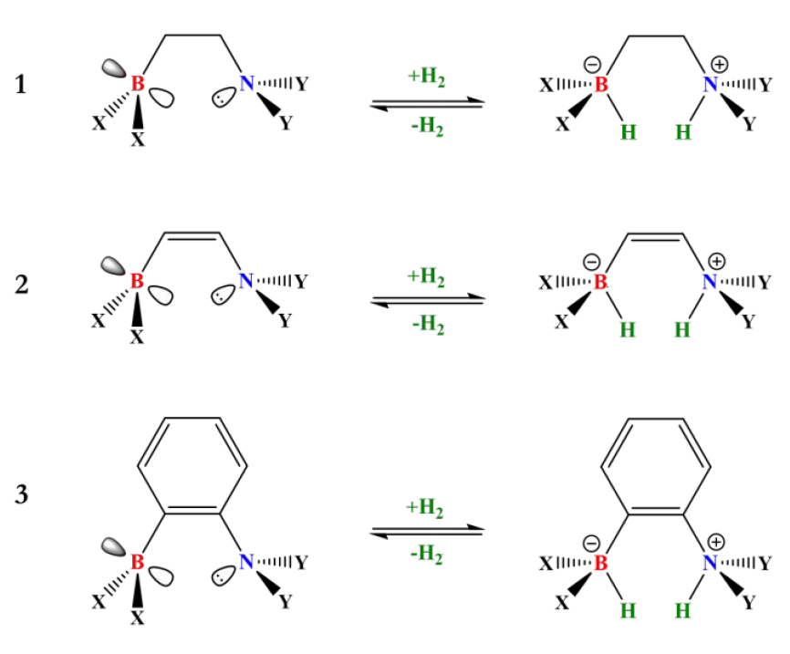 New insights into H2  activation by intramolecular Frustrated Lewis Pairs based on  aminoboranes: The local electrophilicity index of boron as a suitable  indicator to tune the reversibility of the process (<a href="/ChemicalScience/">Chemical Science</a>): pubs.rsc.org/en/content/art….