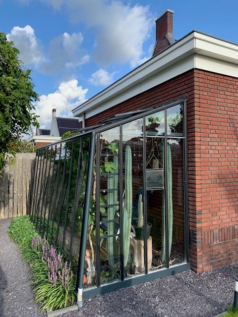 Batistkas's tweet photo. Wil je ook gezonder gaan leven? Met een kleine hobbykas maak je direct een goede start. Heerlijke druiven uit eigen kas. Info 0174-290727 #druiven #moestuin #zelfkweken https://t.co/iFuuDSWnxU