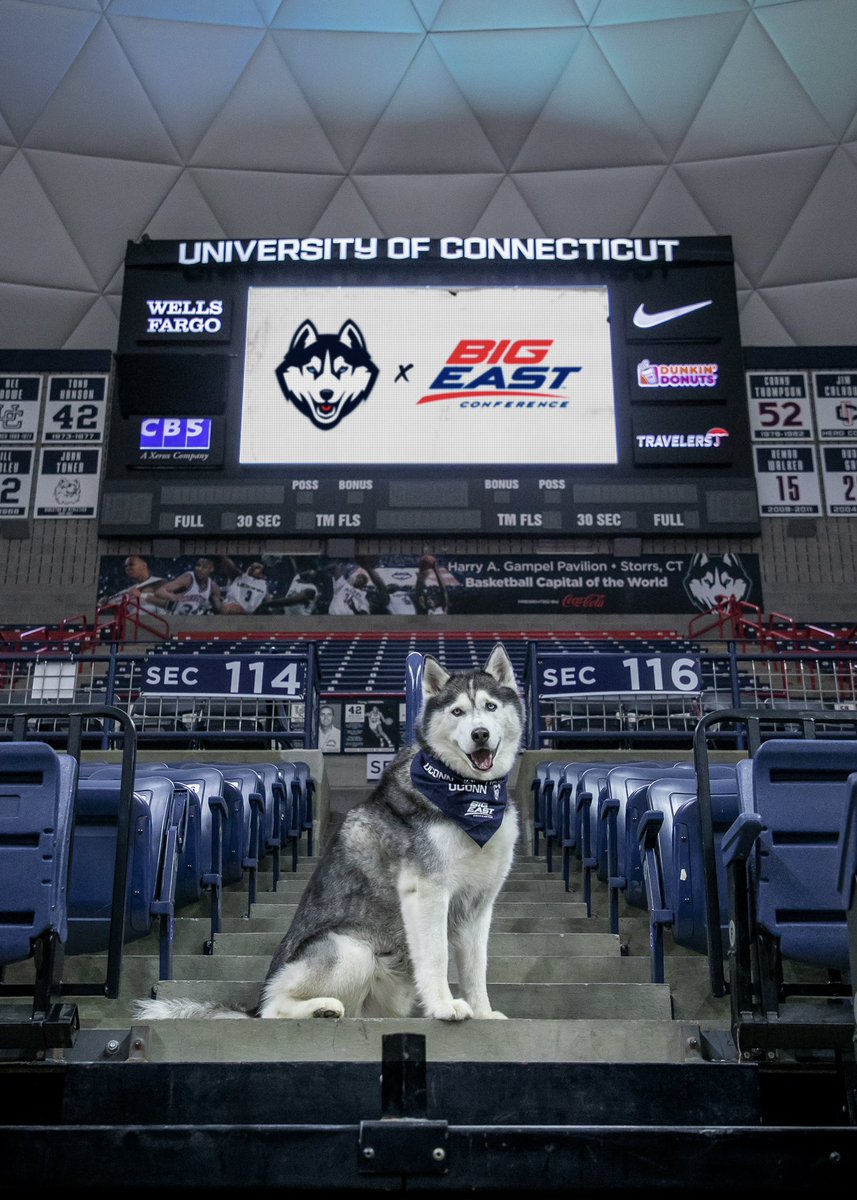 Jonathan the Husky tweet media