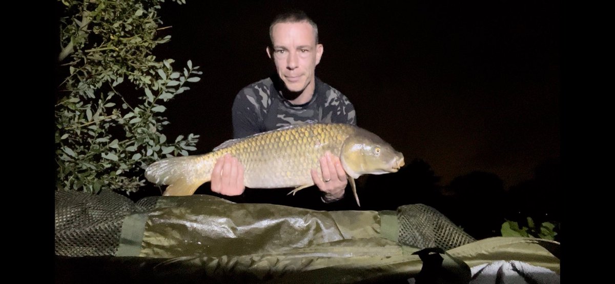 Last minute overnight trip. This woke me at 2:30am and came in a little over 12lb. Caught on a 12mm @stickyofficial Manilla Boilie #Carpography #Carp #NightFishing #StickyBaits #Angling #Fishing #AnglingLife #FishingLife #CatchAndRelease #TightLines #FishCare #CarpCare