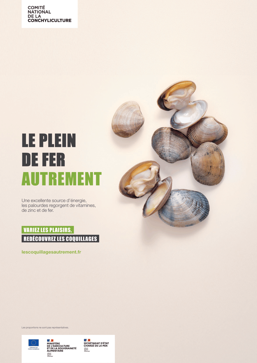 CNCFrance's tweet photo. Découvrez les #coquillages de nos côtes toute l'année ! 🌊🐚 Avec notre campagne, nous vous invitons à redécouvrir les coquillages sous un nouveau jour. Laissez-vous tenter par des moments de #dégustation inédits, tout au long de l'année. 🍽️ https://t.co/KECCkWQ696