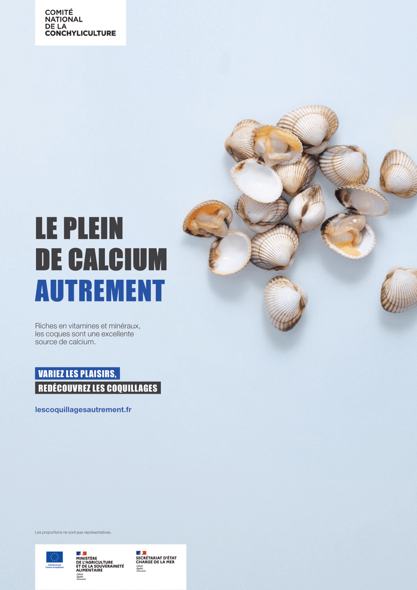 CNCFrance's tweet photo. Découvrez les #coquillages de nos côtes toute l'année ! 🌊🐚 Avec notre campagne, nous vous invitons à redécouvrir les coquillages sous un nouveau jour. Laissez-vous tenter par des moments de #dégustation inédits, tout au long de l'année. 🍽️ https://t.co/KECCkWQ696