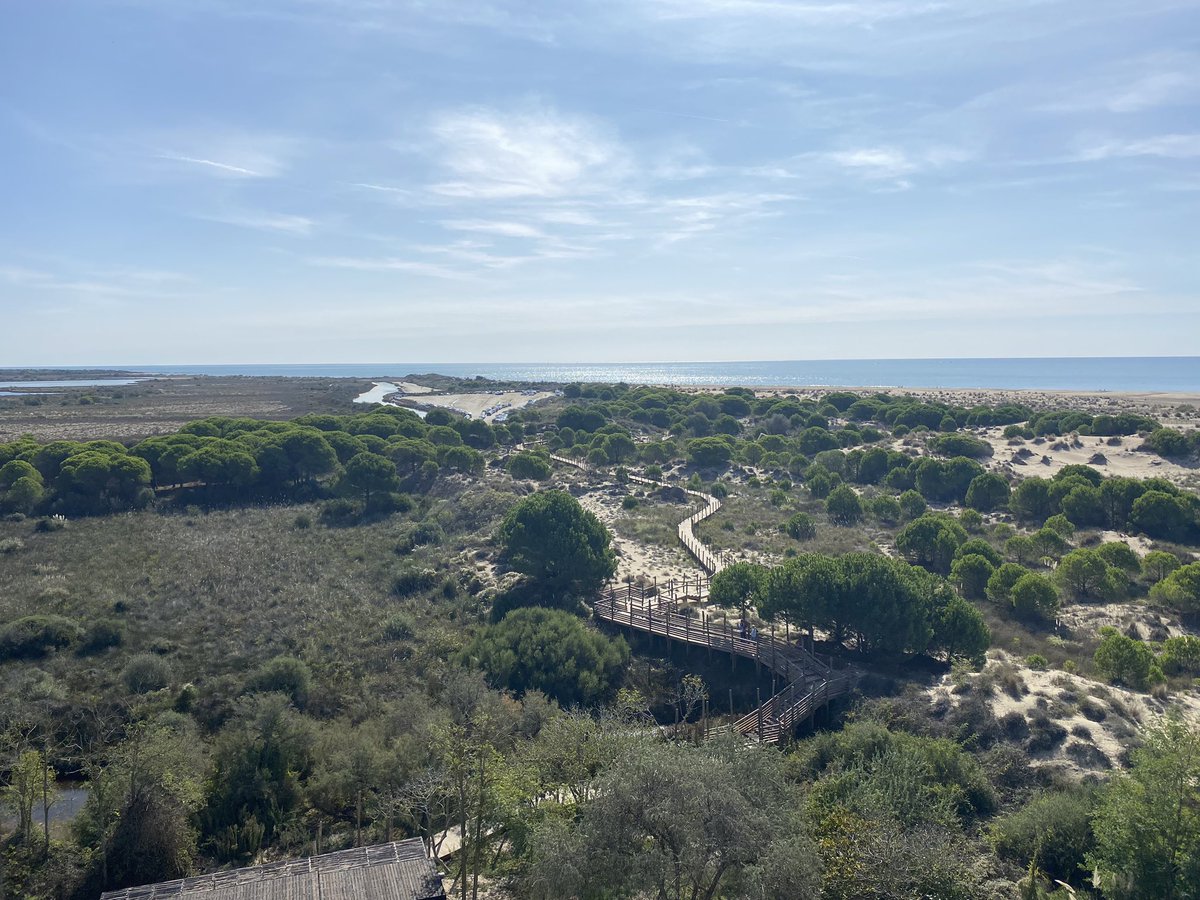 Agneslangevine's tweet image. ✂️ 🙌 Phare de l'Espiguette 
111 marches pour embrasser la beauté et l'évolution du littoral #Camargue fortement impacté par le changement climatique. Avec + de 6000 visiteurs, l'ouverture au public est le fruit du partenariat @Occitanie @littoral_cdl @Prefet30 @Gard #Grauduroi