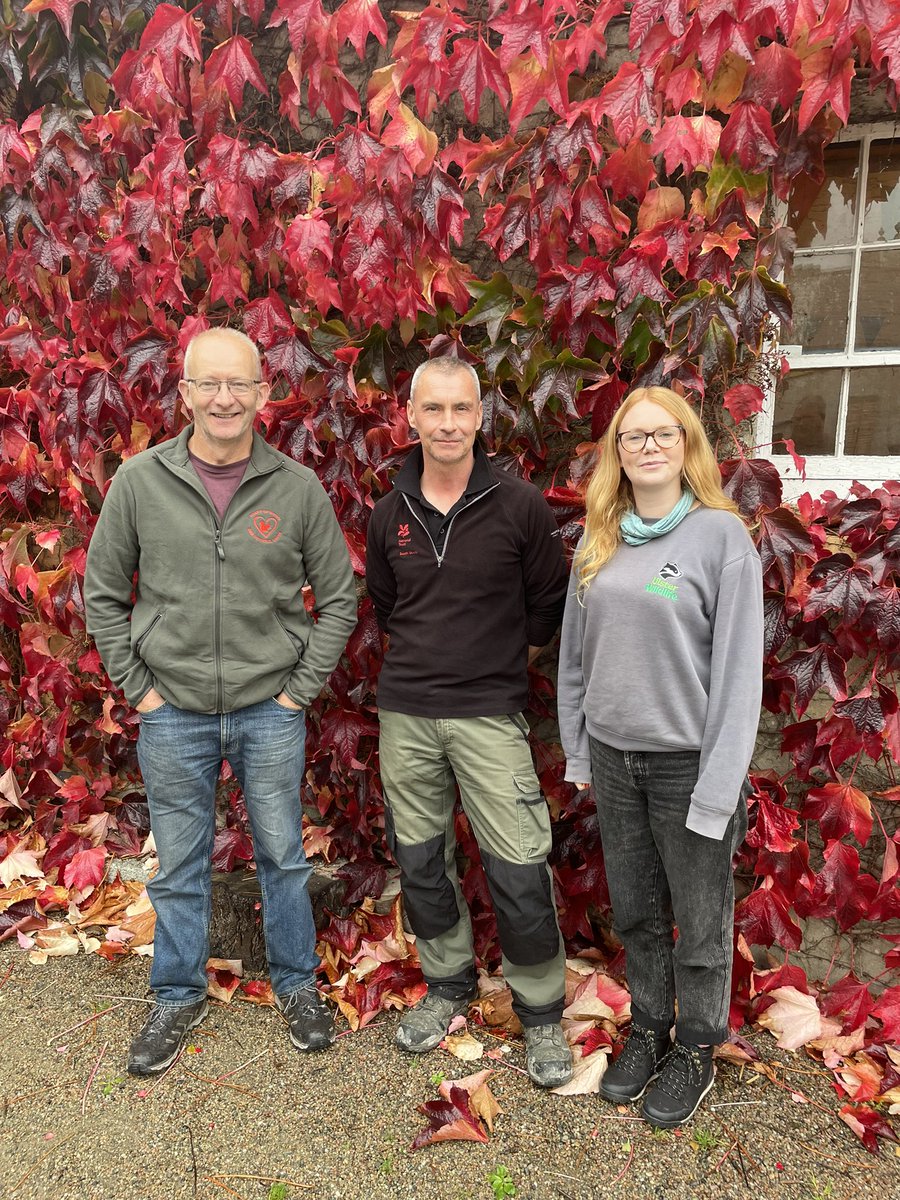 Castleward Red Squirrel catchup. 
All for one, one for all

Keep a lookout for the little Reds while you enjoy the walks at NT Castleward
<a href="/RedSquirrelsUW/">Red Squirrels - Ulster Wildlife</a> 
<a href="/NTCastleWard/">NT Castle Ward</a> 
<a href="/heartofdownreds/">heartofdownreds</a> 
<a href="/Welshsquirrels/">Dr Craig Shuttleworth</a> 
Day four of our Red Squirrel Awareness work
#redsquirrelawareness