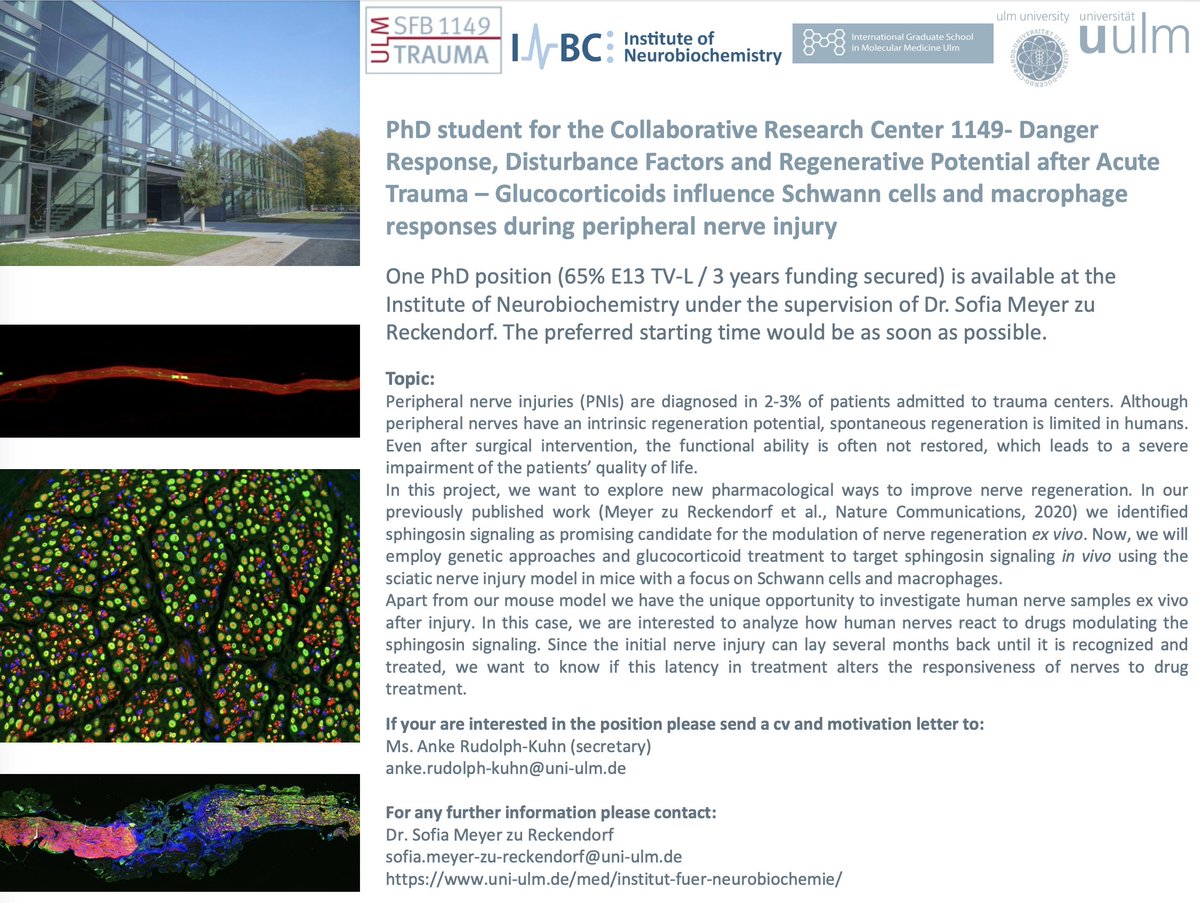 New open PhD position in Ulm, Germany!