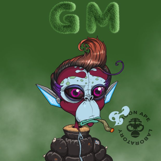 nature2333's tweet image. Gm  #MALF