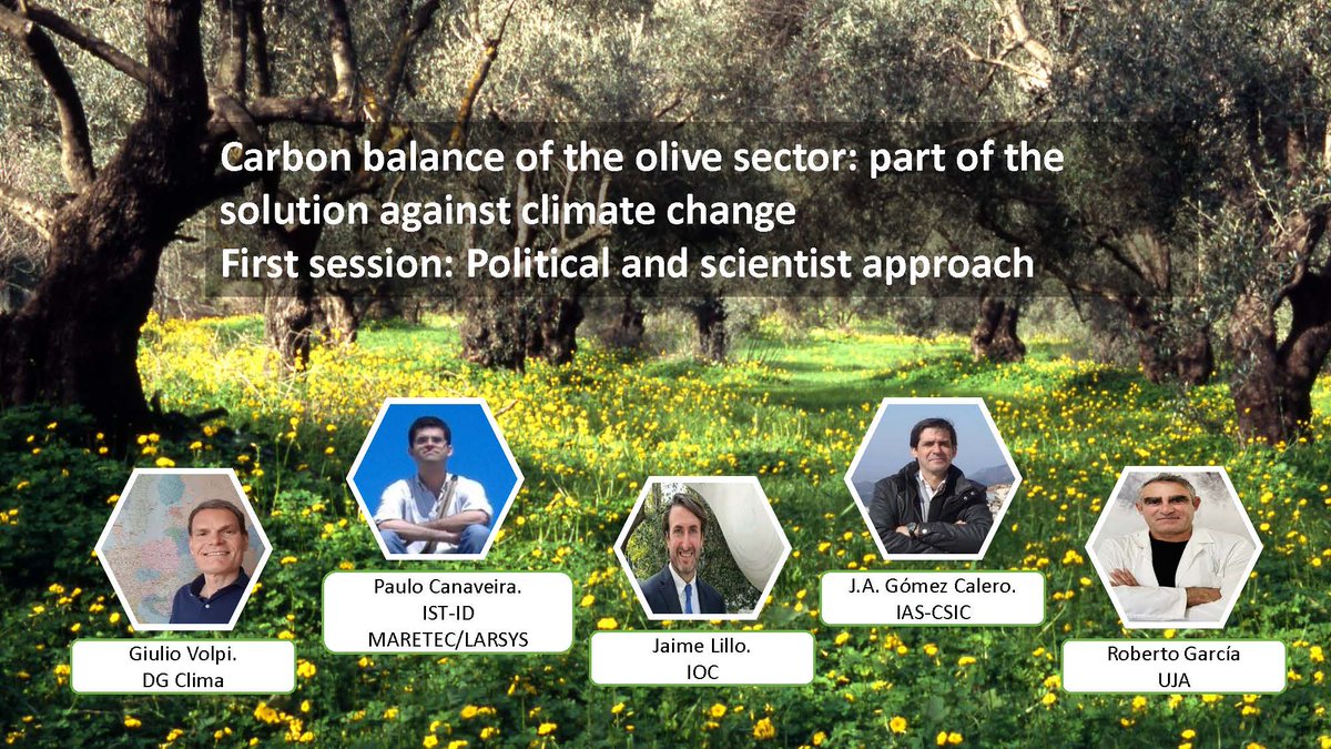 🌳 IOC Workshop "Carbon balance of the olive sector: part of the solution against climate change" (17-19 Oct)

📢Registration open: forms.office.com/e/Qnr2BjNpck

🔜Day 1:
🫒 #OliveCO2Balance 
🫒 EU carbon removals certification
🫒 Carbon credit markets
 
#internationalolivecouncil