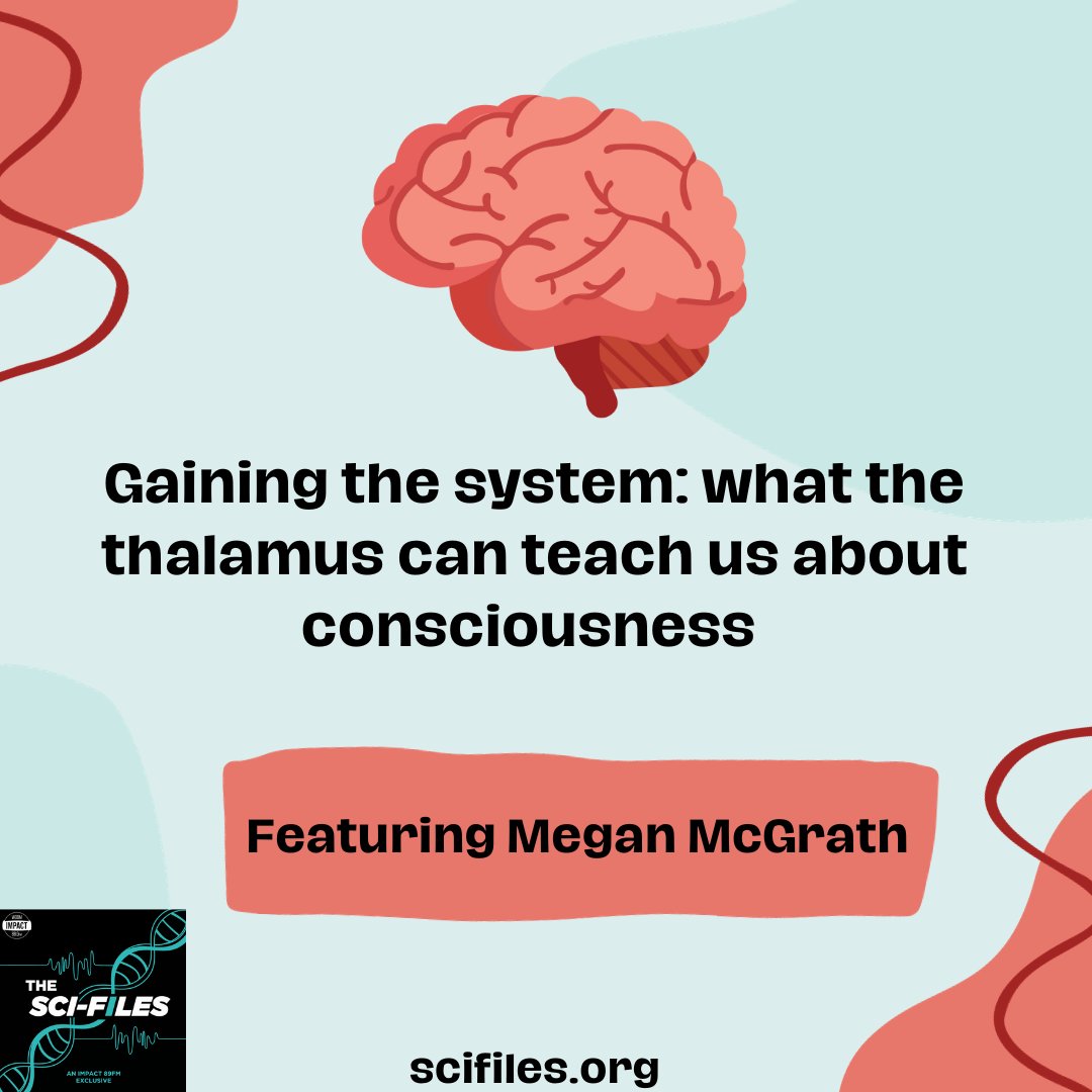 The Sci-Files tweet media